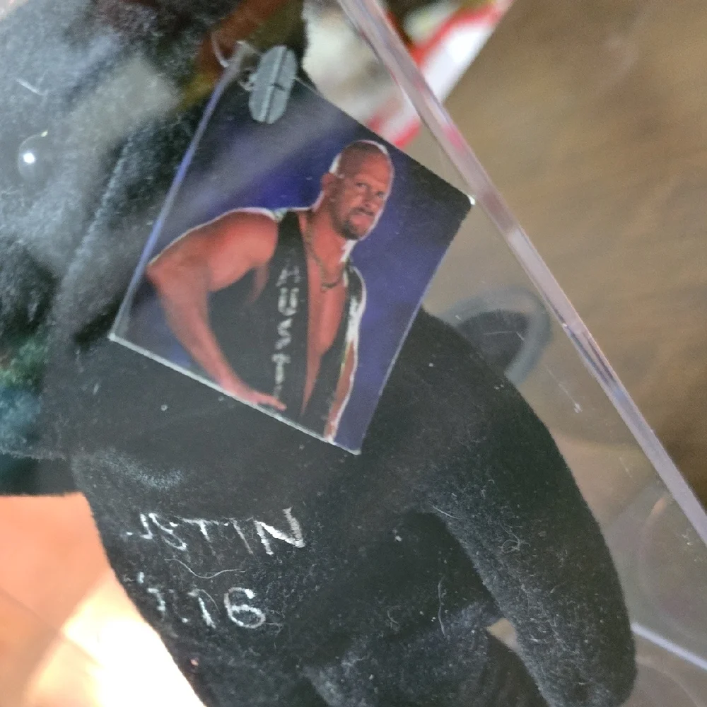 Stone Cold Steve Austin VINTAGE wretling Bear In Cube